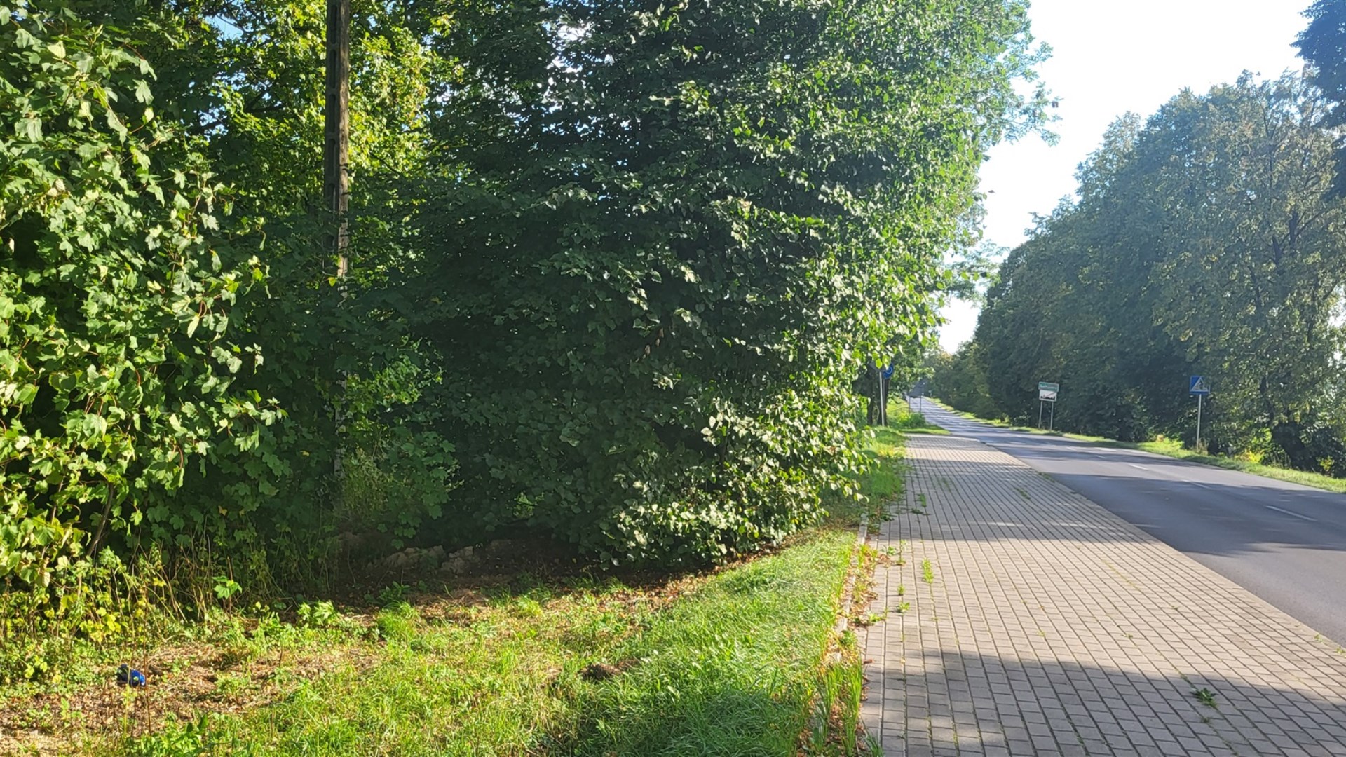 Działka na sprzedaż